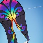 In the Breeze 22" Aurora Dancing Dragon Kite 3355 View 3