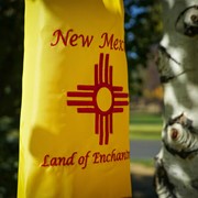 In the Breeze New Mexico 40" Windsock 5204 View 3