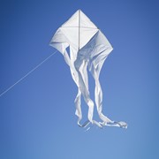 In the Breeze White 77" Wave Delta Kite 3356 View 3