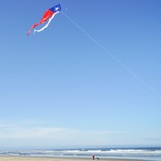 In the Breeze Texas 77" Wave Delta Kite 3357 View 3