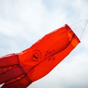 In the Breeze 40" Octopus 3D Windsock 5206 View 3