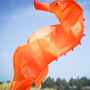 In the Breeze 40" Seahorse 3D Windsock 5207 View 3
