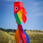 In the Breeze 30" Rainbow Damsel Fish Windsock 5208 View 3