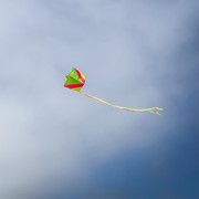 In the Breeze Neon Single Box Kite 3364 View 3