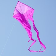 In the Breeze Purple 52" Wave Delta Kite 3358 View 3