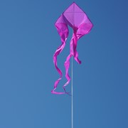 In the Breeze Purple 77" Wave Delta Kite 3359 View 3