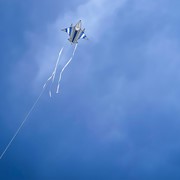 In the Breeze Fighter Jet Kite 3360 View 3
