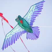 In the Breeze 3D Hummingbird Kite 3380 View 3