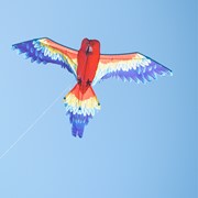 In the Breeze 3D Scarlett Parrot Kite 3381 View 3