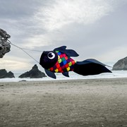In the Breeze 15" Black & Rainbow Damsel Fish 5224 View 3