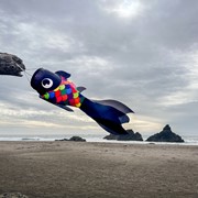 In the Breeze 30" Black & Rainbow Damsel Fish 5225 View 3