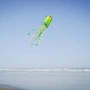 In the Breeze Green Pop Jelly 3389 View 3