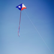 In the Breeze 46" Texas Delta Kite 3392 View 3