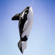 In the Breeze Orca Big Breeze Windsock™ 5231 View 3