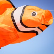 In the Breeze Clownfish Big Breeze Windsock™ 5251 View 3