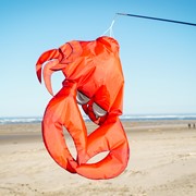 In the Breeze 40" Realistic Crab 3D Windsock 5248 View 3