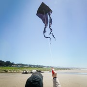 In the Breeze Black 77" Wave Delta Kite 3393 View 3