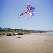In the Breeze Patriotic 46" Fly-Hi Kite 3396 View 3
