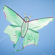 In the Breeze Luna Moth Kite 3398 View 3