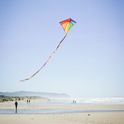 In the Breeze Rainbow Stained Glass 46" Diamond Kite 3506 View 3