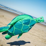 In the Breeze Turtle Big Breeze Windsock™ 5254 View 3
