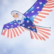 In the Breeze 70" Patriotic Bald Eagle Kite 3508 View 3