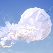 In the Breeze 50-inch White Iridescent Jellyfish 3D Windsock 5260 View 3