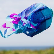 In the Breeze 15" Blue Jellyfish 3D Windsock 5261 View 3