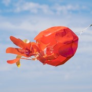 In the Breeze 15" Orange Iridescent Jellyfish 3D Windsock 5262 View 3