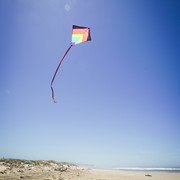 In the Breeze Neon Fiesta 30" Diamond Kite 3511 View 3