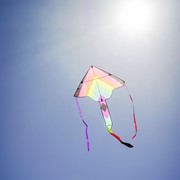 In the Breeze Neon Fiesta 46" Fly-Hi Kite 3512 View 3