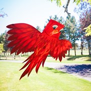 In the Breeze Red Bird Windsock 5273 View 3