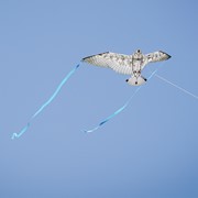 In the Breeze 40" Owl Bitty Bird Kite 3518 View 3