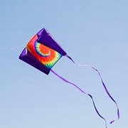 In the Breeze 30" Tie Dye Sled Kite 3522 View 3