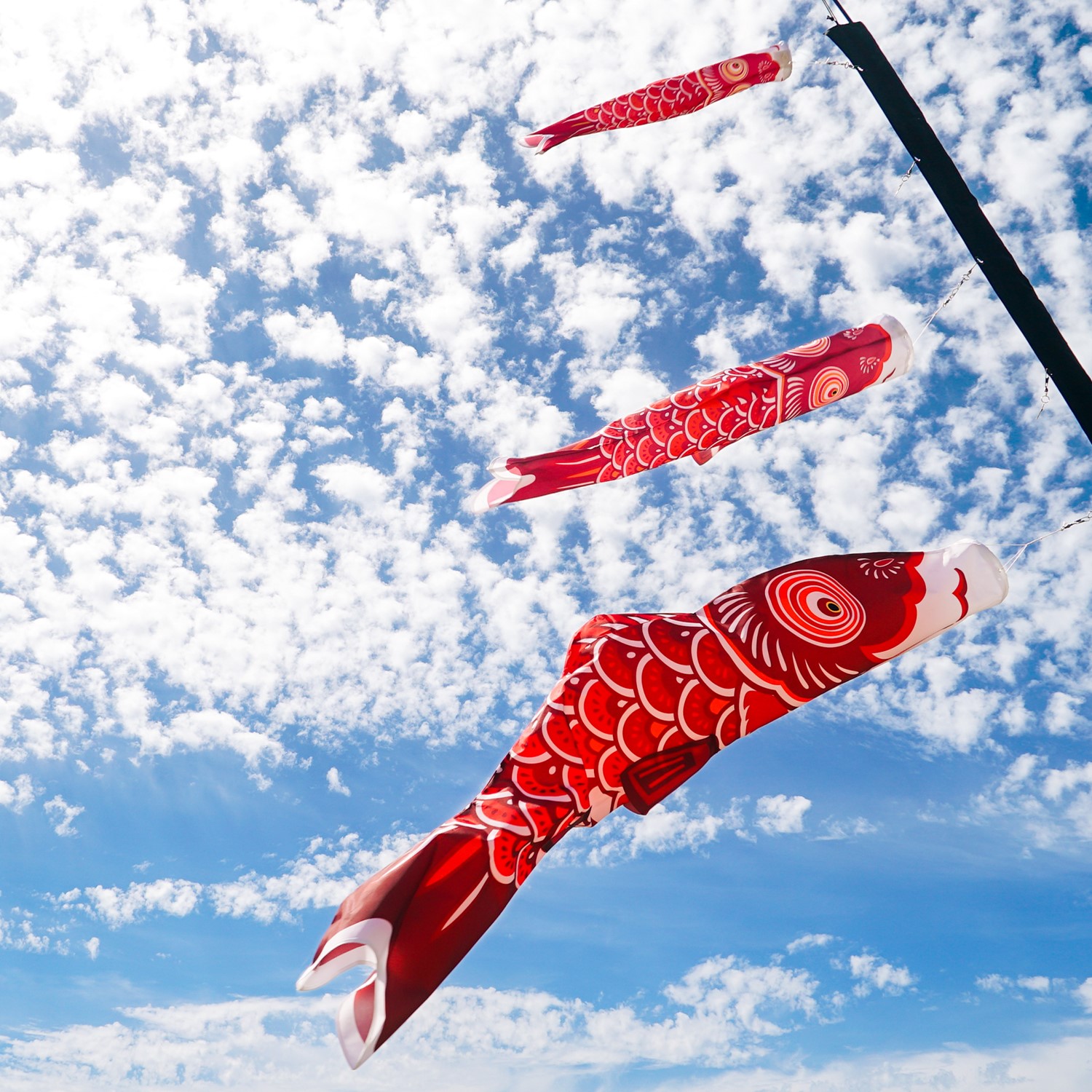 36 inch Red Koi | In the Breeze | Wholesale Garden Décor and Kites