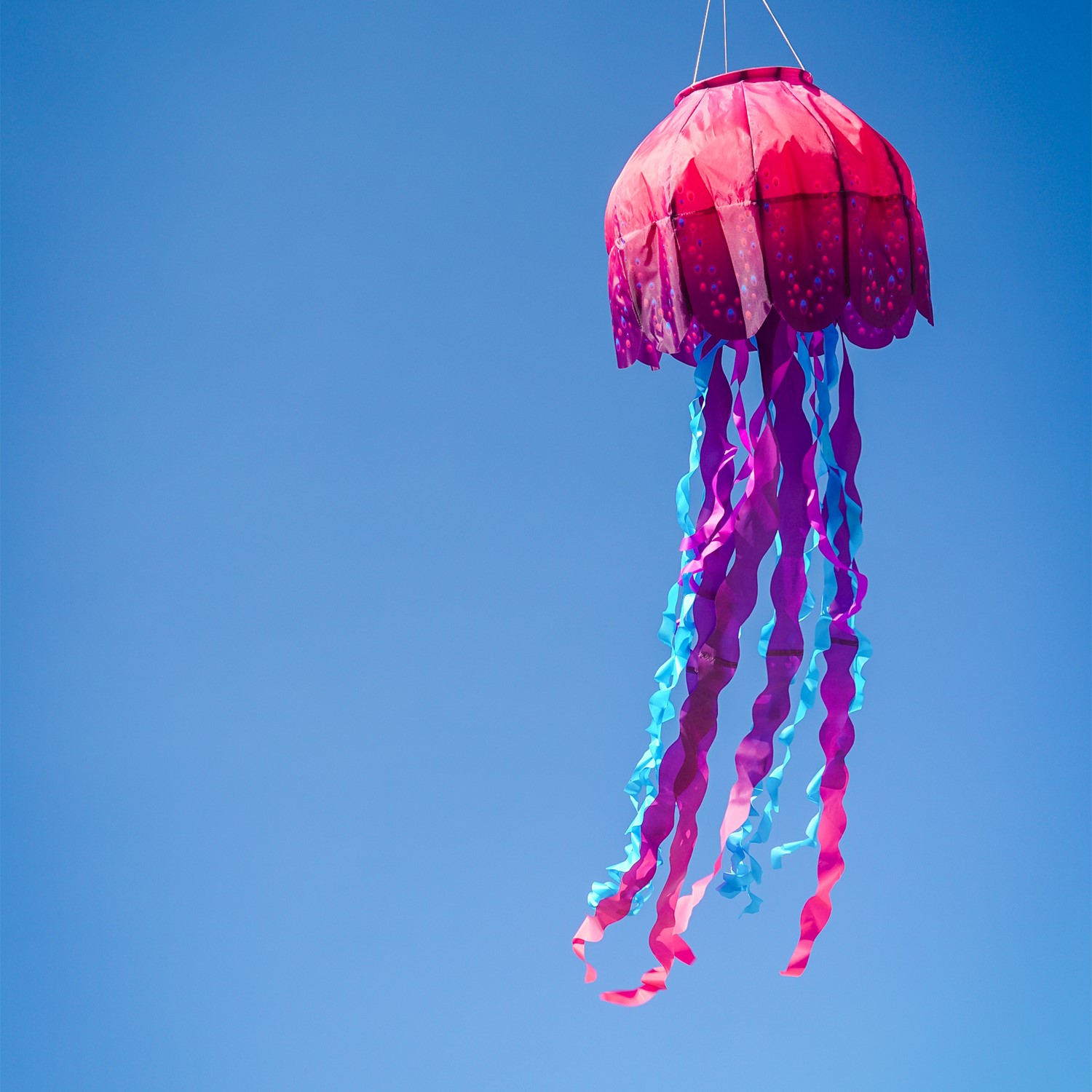 Jellyfish Big Breeze Windsock | Wholesale Garden Decor | In the Breeze