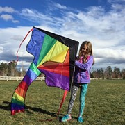 In the Breeze Rainbow Fly-Hi Kite 2904 View 4