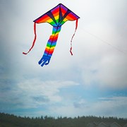 In the Breeze Rainbow Arrow Fly-Hi Kite 2906 View 4