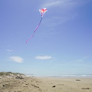 In the Breeze Butterfly 30" Diamond Kite (Optimized for Shipping) 2907 View 4