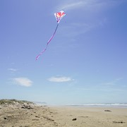 In the Breeze Butterfly 30" Diamond Kite (Optimized for Shipping) 2907 View 3