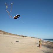 In the Breeze 7.5 Tie Dye Black Air Foil Kite 2979 View 4