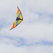 In the Breeze Groovy Stunter 48" Sport Kite 3003 View 4