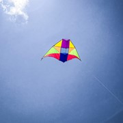 In the Breeze Rainbow 6' Conyne Delta Kite 3011 View 4