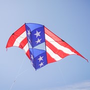 In the Breeze Patriot 6' Conyne Delta Kite 3038 View 4