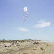 In the Breeze Sled Coloring Kite 3080 View 4