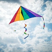 In the Breeze Rainbow 7' Delta Combo Kite 3087 View 4