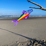 In the Breeze Rainbow Fishy 48" Fishsock 4116 View 4