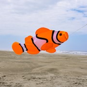 In the Breeze Clownfish 40" Fishsock 4121 View 4