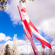 In the Breeze Canada 40" Windsock 4151 View 4