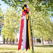 In the Breeze Maryland 40" Windsock 4179 View 4